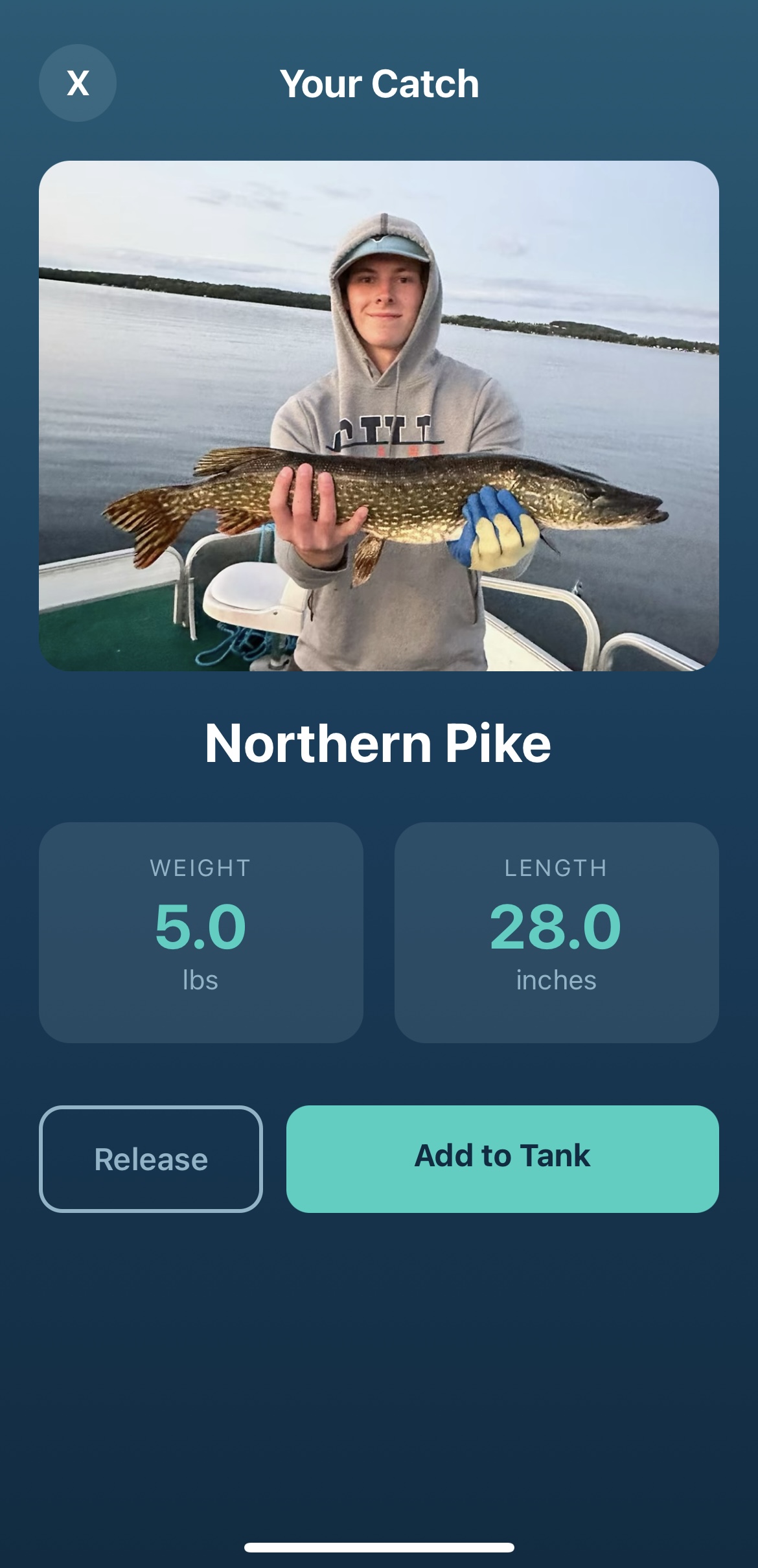 Fish identification screen